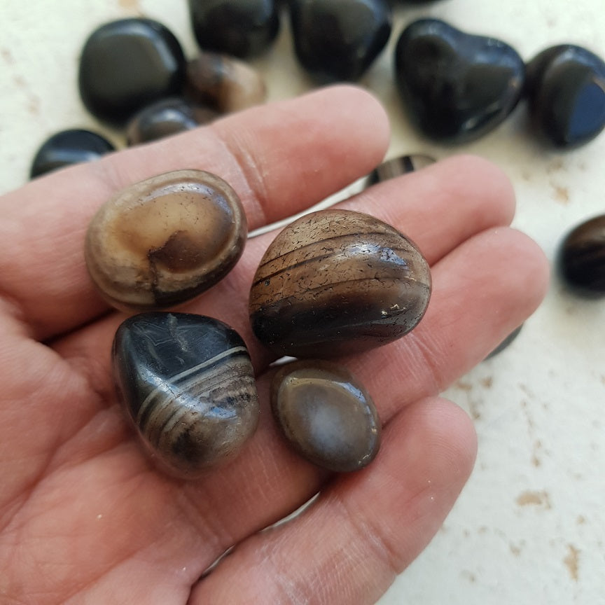 Coffee Agate - Tumbled - 250gms Coffee Agate - Tumbled - 250gms